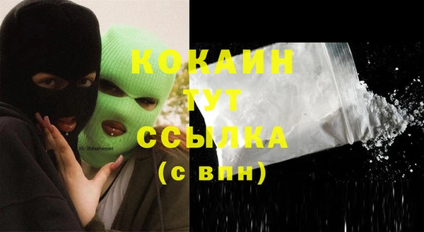 mdpv Вяземский