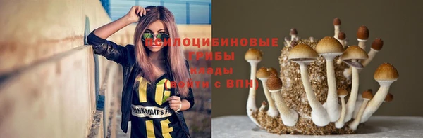 mdpv Вяземский