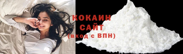 mdpv Вяземский