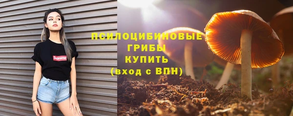 mdpv Вяземский