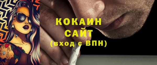 mdpv Вяземский